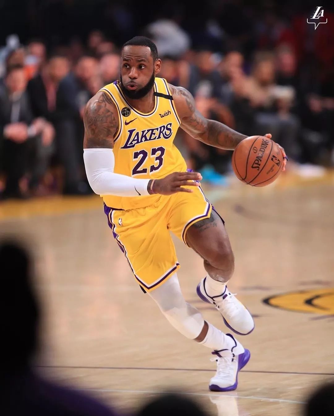 或短顺应对 或短顺应对